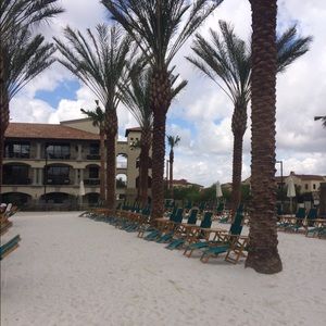 Meet your Posher, Molly